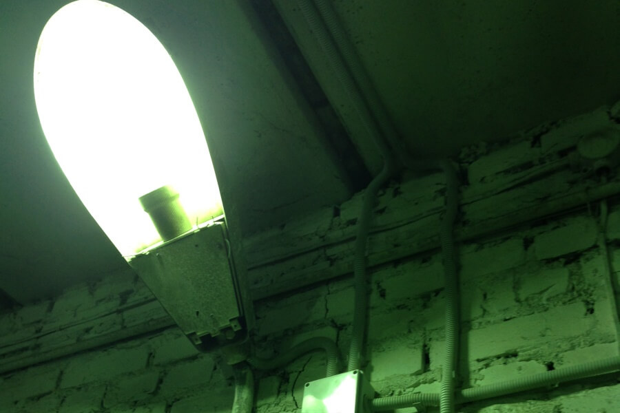 image-07-12-15-16-16-5.jpeg